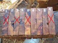 Almond burl #19B-1.JPG Almond burl #19B-1.JPG