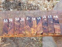 Almond burl #19B-6.JPG Almond burl #19B-6.JPG