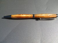 koa scallop 2.jpg