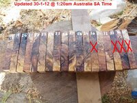 Platypus Gum burl #26B-2.JPG