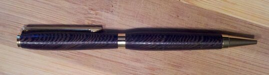 First Pen.jpg