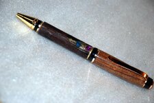 Pens - 2-2-12 Mesquite oer oiled leather - sequined.jpg