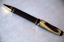 Pens - 2-2-12 Texas White Tail Deer over Sting Ray.jpg