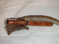 SIDE VIEW ON ANTLER.jpg