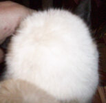 Annebelle1.jpg Annebelle1.jpg