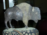 buffalo2.jpg