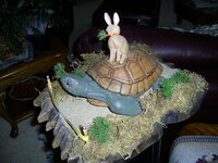 turtle2.jpg