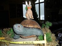 turtle1.jpg