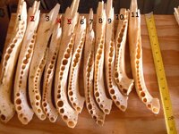 jaw1e.JPG