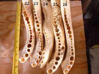 jaw3.JPG