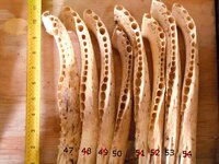 jaw6e.JPG
