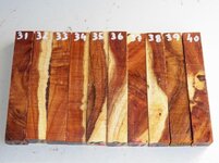 Black Wattle Crotch - Group#4 .jpg
