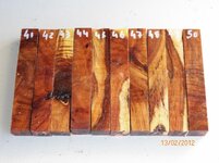 Black Wattle Crotch - Group#5.jpg