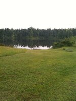 IMG_0313 (Small).JPG