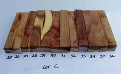 File2.jpg