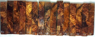 WOB - 16-30.jpg