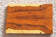 Desert Ironwood.jpg