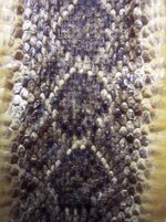 100_9574.jpg