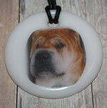 woodster-pendant.jpg