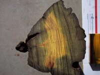 100_9662.jpg