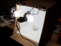 100_2211 (640x480).jpg