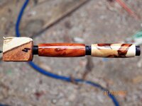 101_1900.JPG 101_1900.JPG