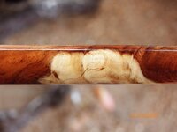 101_1901.JPG 101_1901.JPG