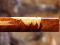 101_1903.JPG 101_1903.JPG