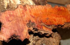 cherry burl.jpg