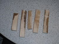 maple A.jpg