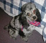 Arnold 1-13-04 (Small).jpg