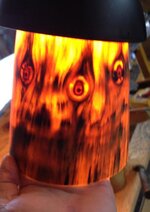 norfolk-pine.jpg norfolk-pine.jpg