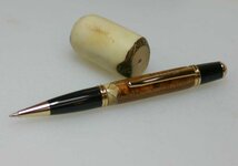 Tagua Scallop.jpg