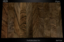 s29_turkishwalnut.net..jpg