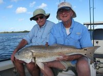fish picture 4.jpg