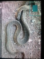 2012-03-24 19.55.56.jpg