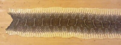 2012-03-24 20.36.01-1.jpg