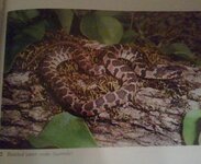 2012-03-24 21.41.39-1.jpg