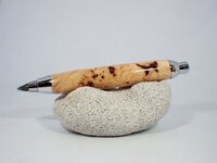 100_2812 (640x480).jpg