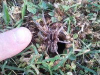 2012-03-29 19.51.38.jpg