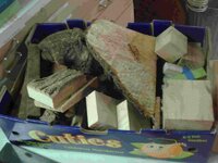 3-31-12 Meeting  Robs newbie haul.jpg