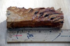 Blanks- Pine Cone 2.jpg