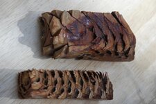 Blanks- Pine Cone 4.jpg