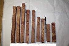 Cedar - 1.1.jpg