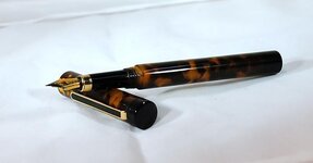 Tortoise & Ebonite Kitless (2) 006.jpg