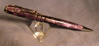 DSCN1231 (Medium).JPG