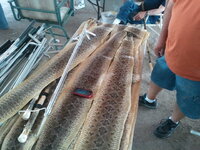 2012-04-14 13.37.27.jpg