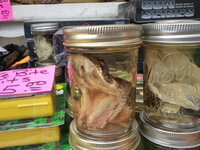 2012-04-14 13.13.54.jpg