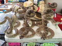 2012-04-14 13.13.39.jpg 2012-04-14 13.13.39.jpg