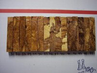 100_9978.jpg